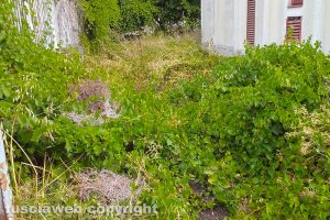 Vasanello - La cabina Telecom