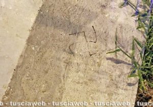 Civitavecchia - Il parco Gagliardini vandalizzato