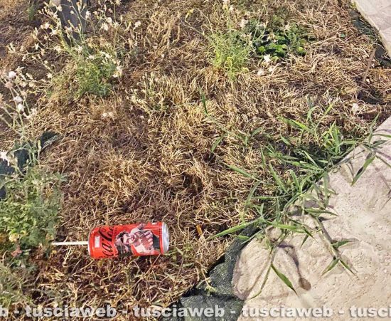 Civitavecchia - Il parco Gagliardini vandalizzato