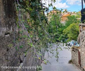 I rovi all'accesso del parcheggio di Bagnaia