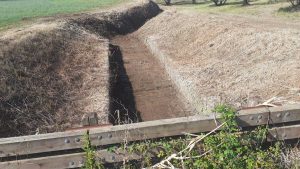 Marta - Intervento sui fossi fluviali della zone Entemaremma località Kornoss