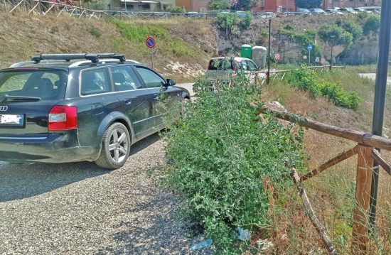 Tarquinia - Il degrado al parcheggio di via Sacconi
