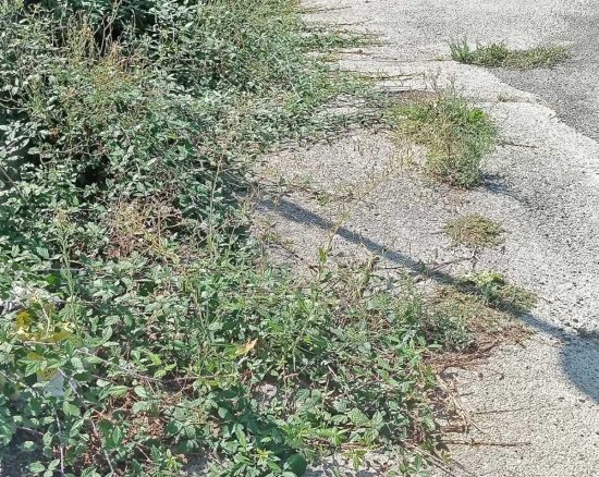 Tarquinia - Il degrado al parcheggio di via Sacconi