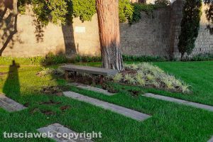 Viterbo - Danni da cinghiale al parco Melvin Jones