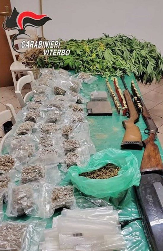 Faleria - Sequestrati oltre 4 kg di marijuana, due fucili, 21 piantine e materiale per la pesatura
