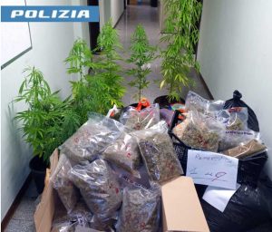 Viterbo - La droga sequestrata dalla mobile