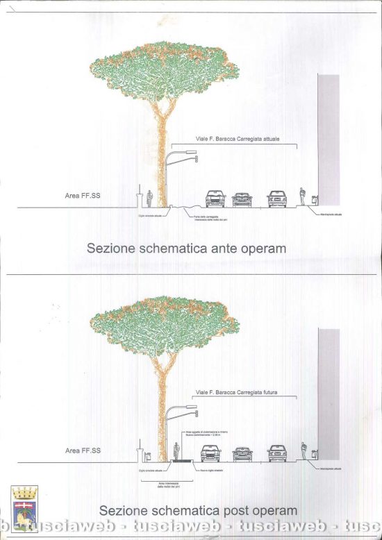 Viterbo - Il progetto su viale Francesco Baracca - Le sezioni