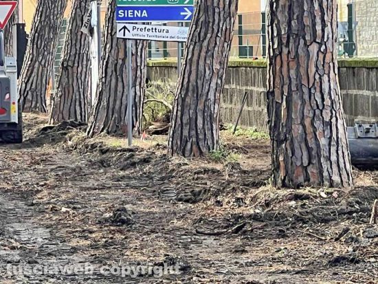 Viterbo - I lavori su viale Francesco Baracca
