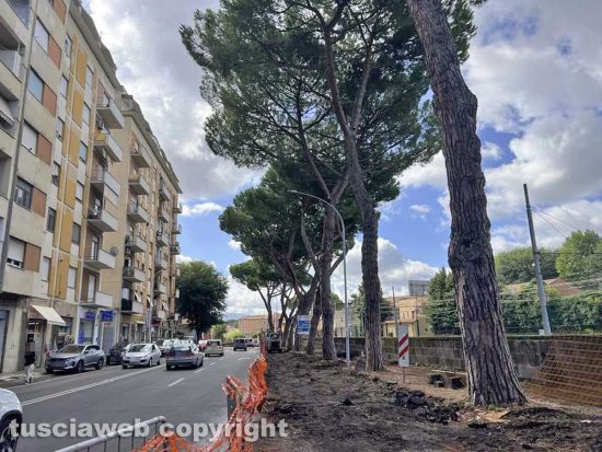 Viterbo - I lavori su viale Francesco Baracca