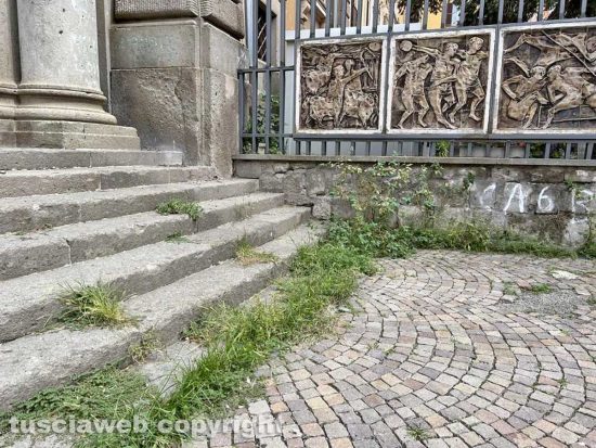 Viterbo - Liceo classico - Via Tommaso Carletti - Fichi, erbacce e bacche