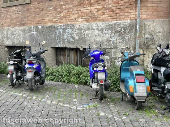 Viterbo - Liceo classico - Via Tommaso Carletti - Fichi, erbacce e bacche
