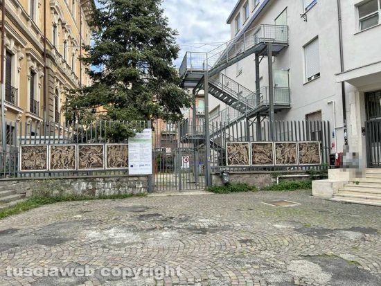 Viterbo - Liceo classico - Via Tommaso Carletti - Fichi, erbacce e bacche