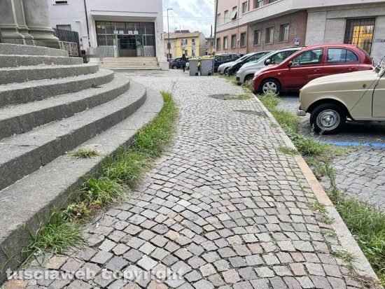 Viterbo - Liceo classico - Via Tommaso Carletti - Fichi, erbacce e bacche