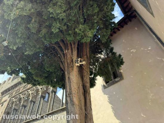 Viterbo - Incuria a piazza San Lorenzo