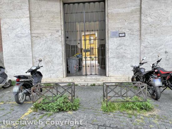 Viterbo - Liceo classico - Via Tommaso Carletti - Fichi, erbacce e bacche