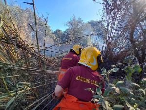 Tarquinia - Canneti e sterpaglie in fiamme