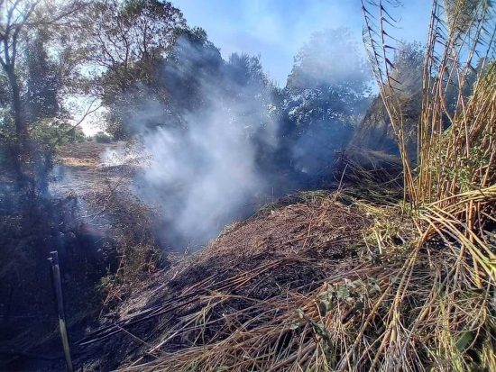 Tarquinia - Canneti e sterpaglie in fiamme