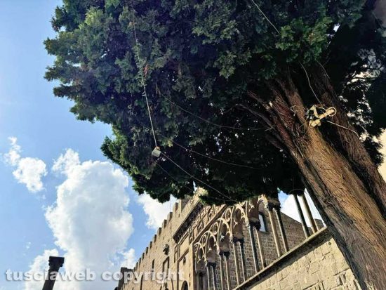 Viterbo - Incuria a piazza San Lorenzo