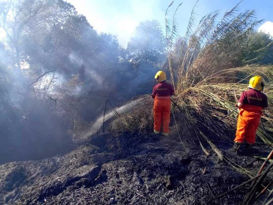 Tarquinia - Canneti e sterpaglie in fiamme