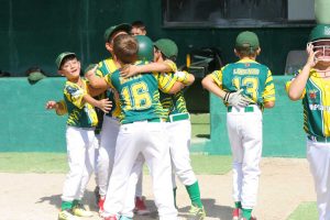 Sport - Wiplanet baseball - Under 10 
