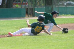 Sport - Montefiascone baseball