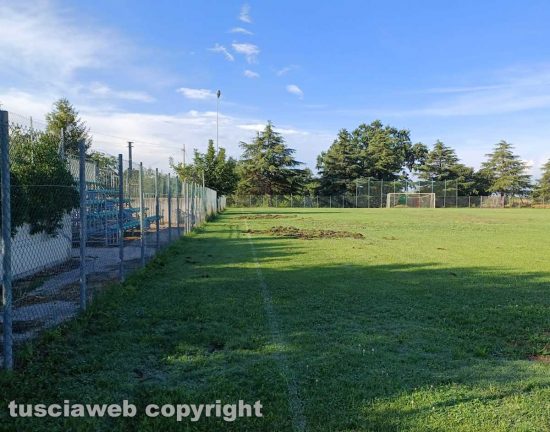 Villa San Giovanni - Cinghiali al Villa Park