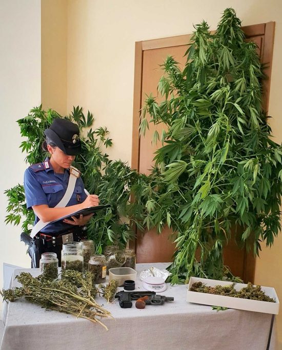 Carabinieri - Faleria - La droga e le pistole sequestrate