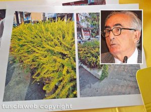 Via Genova - Erba alta - Le foto allegate alla petizione - Nel riquadro: Alvaro Ricci