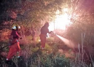 Tarquinia Tarquinia - Incendio nella notte all'Ancarano