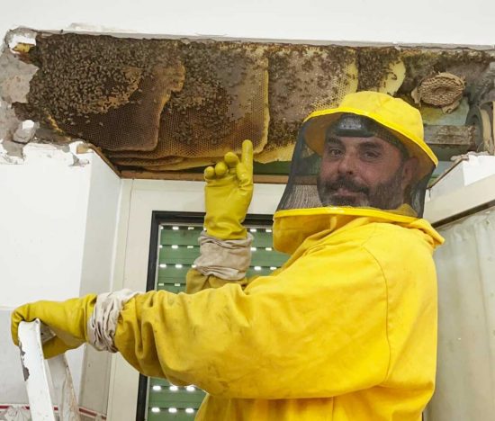 Sutri - Oltre 100 mila api invadono un appartamento - L'etologo Andrea Lunerti
