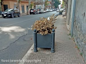 Fabrica di Roma - Fioriere secche in via Roma