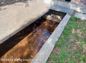 Viterbo - Giocavamo pe' strada, negligenze del comune nel parcheggio di Valle Faul...