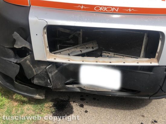Viterbo - Scontro ambulanza-cinghiale sulla Sammartinese