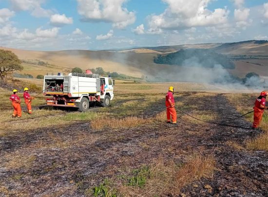 Tarquinia - Incendio di sterpaglie