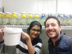 Gli ecologi dell'Università degli Studi della Tuscia e della Monash University (Australia)