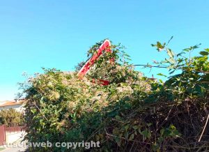 Fabrica di Roma - La segnaletica coperta dalla vegetazione