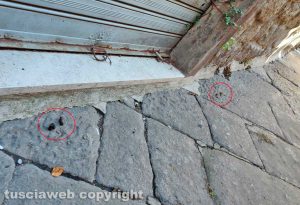 Viterbo - Le feci di un cane in via Sant'Egidio non raccolte