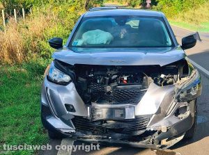Viterbo - Auto contro cinghiale a Grotte Santo Stefano