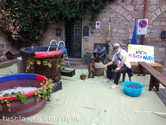 Viterbo - Festa dell'Uva a Pianoscarano
