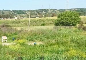 Santa Marinella - Il parco della Quartaccia