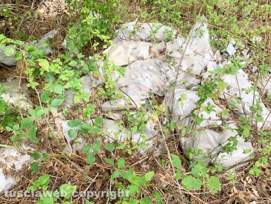 Discarica abusiva in località Acquaspasa