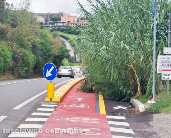 Viterbo - Erba alta invade la pista ciclabile 