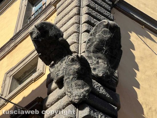 Viterbo - Spezzato lo scudo araldico di palazzo Brugiotti