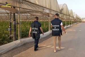 Guardia di finanza - Controlli aziende agricole