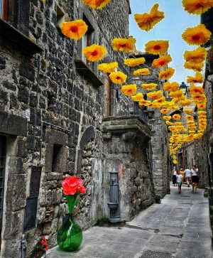 Vitorchiano - Lo scatto di Salvatore Pasquini vincitore del contest