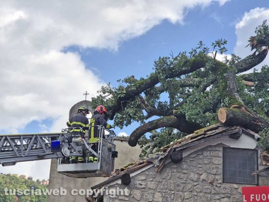 Montefiascone - Albero crolla sulla chiesa della Madonna della valle - L'intervento dei vigili del fuoco