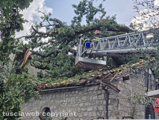 Montefiascone - Albero crolla sulla chiesa della Madonna della valle - L'intervento dei vigili del fuoco