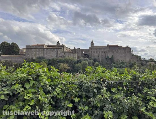 Viterbo - Veduta di palazzo dei papi dall'ascensore del Sacrario
