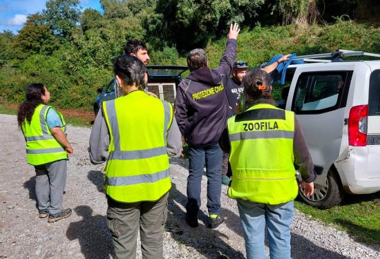 Canale Monterano - Il cagnolino salvato dalla protezione civile