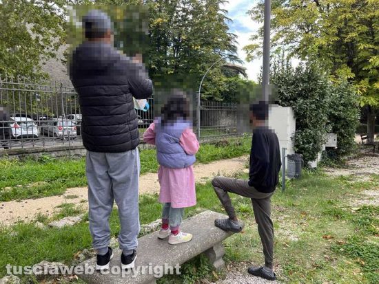 Viterbo - Cinghiali in pieno giorno a Pratogiardino Lucio Battisti